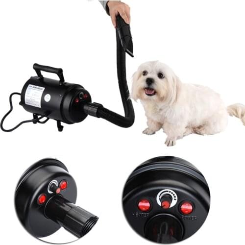 Фены для собак Peitten China At AliExpress