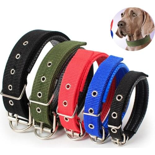 Dog Adjustable Collar Nylon Personalized Puppy Cat Nameplate ID Collars Anti-Lost Car Accident Leads Pet Products Accessories
