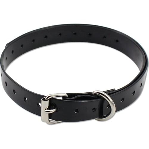 Petrainer 998DB and iPets 619 strap Black Dog collar