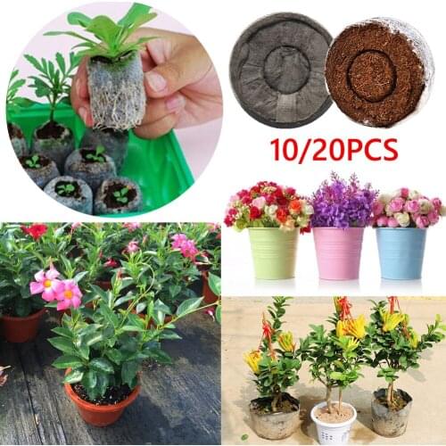 10/20pcs Seedling Soil Block Plugs Seeds Start Household Garden Jiffy Peat Pellets Maker Starting Planting Elements