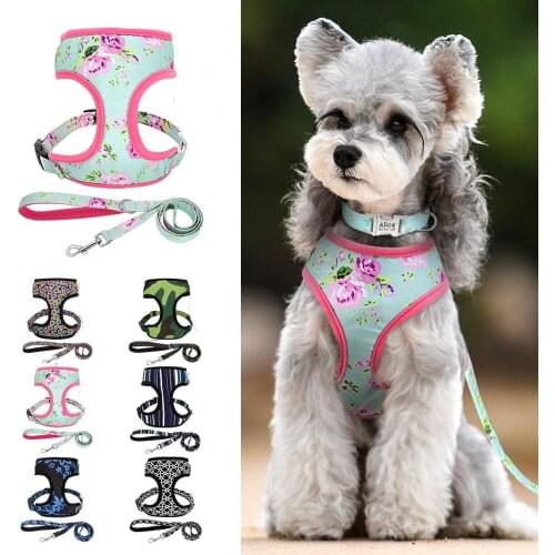 Nylon Dog Harness And Leash Set Mesh Pet Vest Breathable Padded Harness With Walking Lead Rope For Small Medium Large Dogs Pug