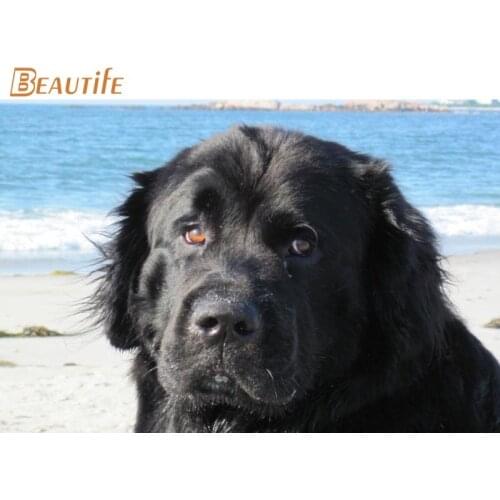 Custom Newfoundland Dog Poster Cloth Silk Poster Home Decoration Wall Art Fabric Poster Print 30X45cm,40X60cm.50X75cm,60X90cm