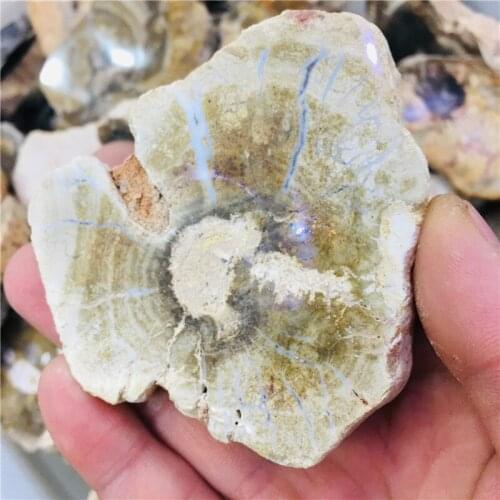 200g Natural fossil wood crystal collection