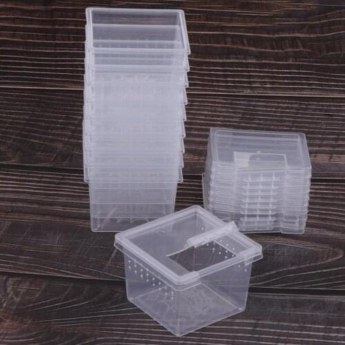 10 Pcs/Set Insect Reptile Spider Terrariums Breeding Box Hatching Container