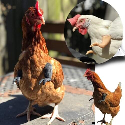 1 Pair Arms for Chicken Funny Chicken Forelimbs Spoof Pet Decoration Props