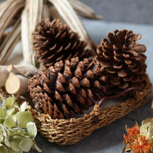 Natural Pine Cones Photo Props Accessories Christmas Year Pinecone Xmas DIY Tree Party Toppers Decoration New Decoration C5G7