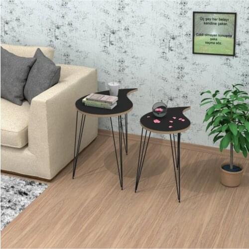 Modern Larose Zigon Coffee table Drop Mdfsyh 2'li coffe table