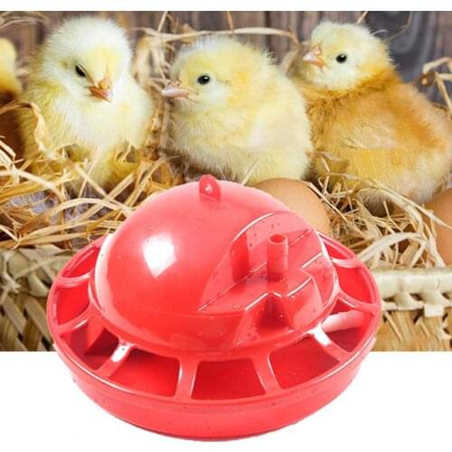 Durable Chick Drinking Bowl High Capacity Automatic Plastic Detachable Poultry Waterer for Pet Watering Feeding Accessories