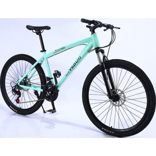 Mountain Bike Man Student Youth Racing Women Speed Double Disc Brakes Shock Off Road Steel Adult Bicycle