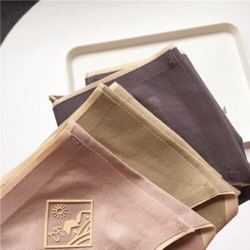 Simple Solid Color Pure Silk Panties For Girl Cotton Corset Lace Sexy Lingerie Womens Underwear Seamless Transparent Breathable