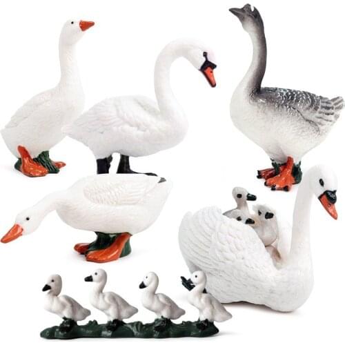 Solid simulation wild animal model white swan duck farm poultry childrens plastic toy set decoration