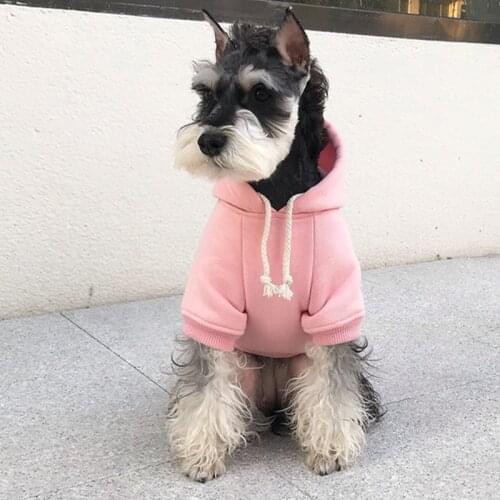 Winter Pet Dog Clothes For Small Medium Dogs Fashion Sports Dog Hoodie French Bulldog Schnauzer Coat Jacket PDC0105