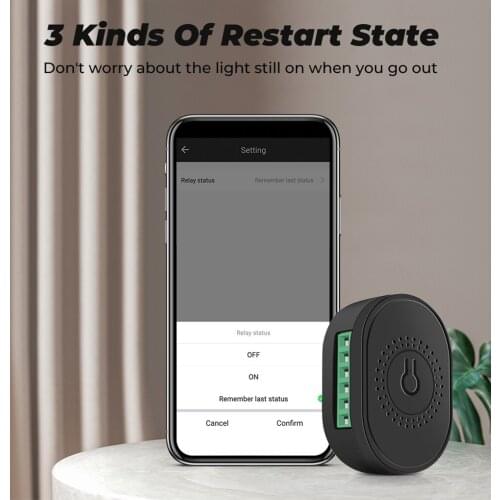 Tuya Zigbee Mini Smart Light Switch Module Support Two Way Remote Control 16A App Smart Life Timing Work With Alexa Google Home