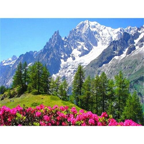 Flower Landscape Printed Water-Soluble Canvas 11CT Cross Stitch DIY Embroidery Patterns DMC Threads Craft Knitting Needle