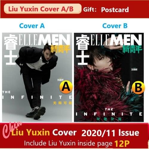 2020/11 Issue Chinese Fashion Magazine ELLEMEN Rui Shi THE9 Liu Yuxin Cover A/B Available Present Postcard Fans Collection Book