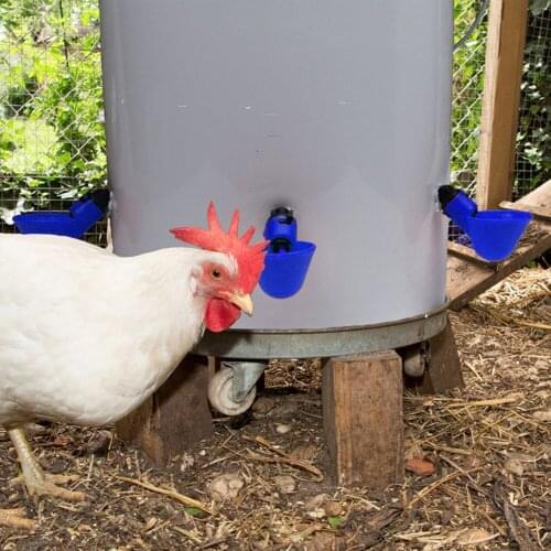 Automatic Drink Hanging Cup for Pigeon Chicken Poultry Birds Feeder Thicken Water Bowl Easy Install Animal Supplies