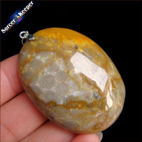 New Hot Selling Natural Stone Crinoid Fossil Necklace Jewelry Chrysanthemum Stone Healing Reiki Pendant For Men Women HS340