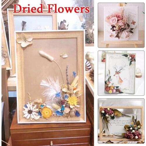 Dried Flower A Box Aromatherapy Floating Flowers Flower Heads Making Craft DIY Greeting Cards Hand-Made Botanical Painting Decor
