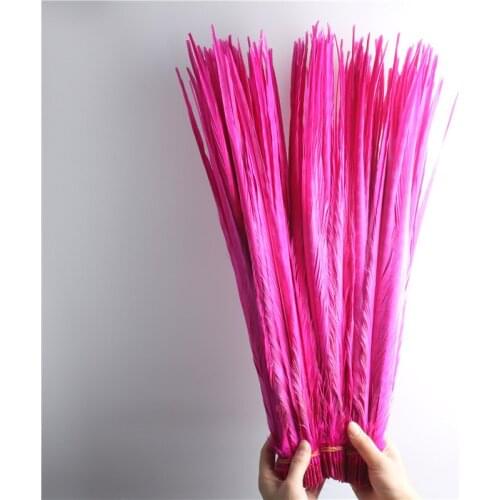 T Wholesale 10-100pcs/lot High Quality Rose Lady Amherst Pheasant Tail Feathers 50-55cm/20-22inches for DIY Decoration Plumes