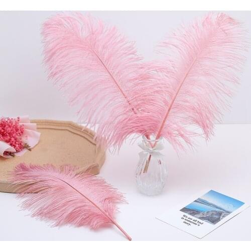 50 Pcs Natural Ostrich Feather Dyed Wedding Decoration Feather 25-30 CM Carnival Hats Decoration Party Accessory for Crafts