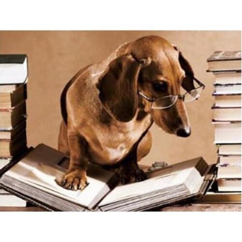 Diamond Painting Full Round Dog Animal Professor Dachshund Diamond Embroidery Mosaic Rhinestones Picture By Numbers Decor