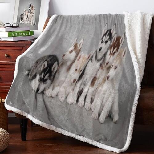 Siberian Husky Group Of Cute Pet DogsNew Winter Warm Blanket Office Plush Blanket Bedspreads Quilt Drop Ship