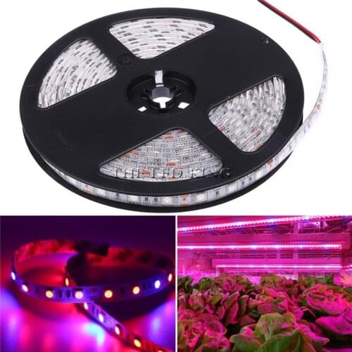 LED Plant Growth Light LED Strip DC12V 60led/M 5M 300LEDs 5050SMD LED Fitolampy Grow Lights for Greenhouse Hydroponic DIY