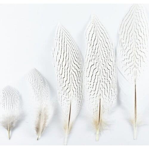 10Pcs/Lot Natural Silver Pheasant Tail Feathers for Crafts 10-30CM 4-12 Inch Wedding Decorations Chicken Pheasant Feather Plumes