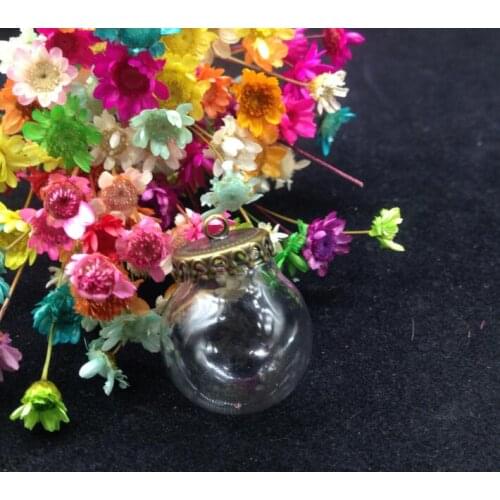 100sets/lot 20*12mm Glass globe with crown bronze base set glass vial pendant DIY glass bottle dome cover necklace pendant charm