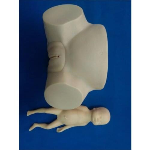 BIX-F8 Senior Midwifery Childbirth Training Model WBW004