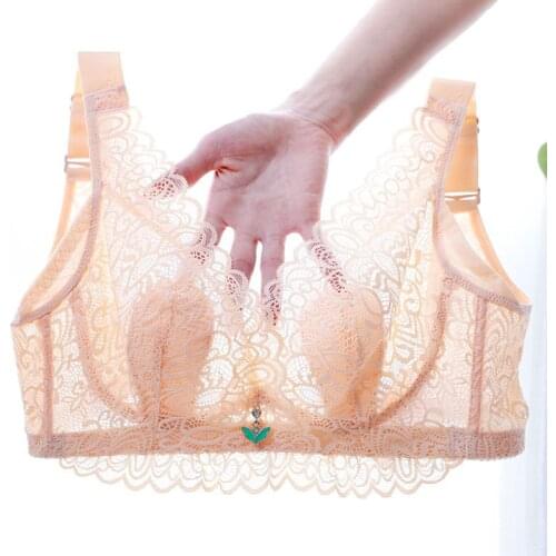 Womens bra underwear sexy underwear push up bra See through bra large size lace bra