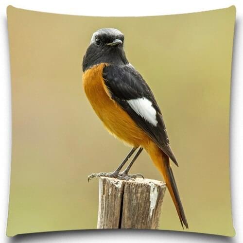 A bird on the stump 2D print creative Pillow case Square cotton polyester cushion cover 5 size 9 style