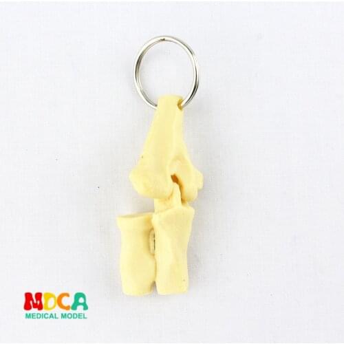Human joint key lock ornament gift pendant key buckle human.organ anatomy medical teaching toy YSK012