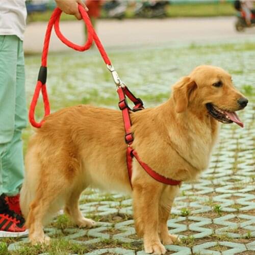 Pet Dog Harness And Leash Set Climbling Adjustable Nylon Dog With Durable Training Leashes Collar Suit For Medium Large Puppy