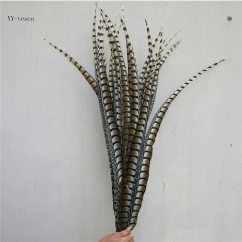YY-tesco 200Pcs 60-70cm Lady Amherst Pheasant Tail Feathers diy jewelry Wedding Decorations red Pheasant Feathers plume