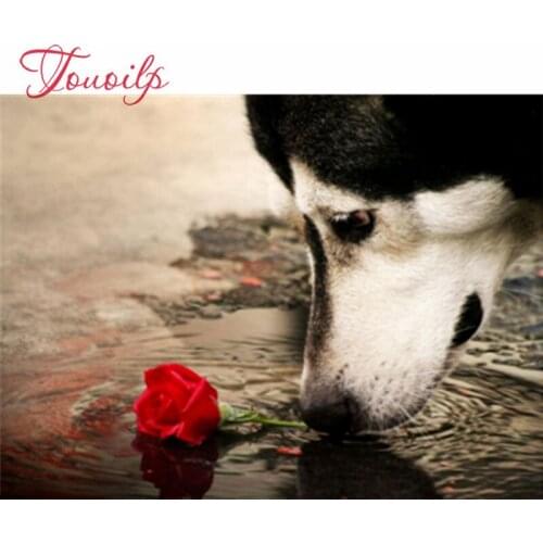 Bricolage diamant peinture pleine perceuse Animal diamant broderie chien artisanat décoration de la maison cadeau