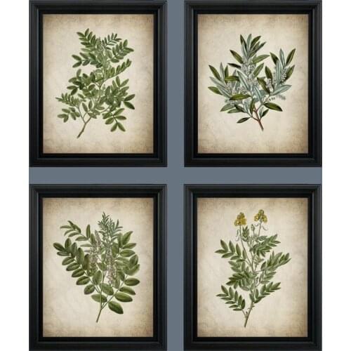 Vintage Green Leaf Botanical Poster Canvas Print Kitchen Wall Art Pictures Retro Painting Plant Posters Living Room Home Decor