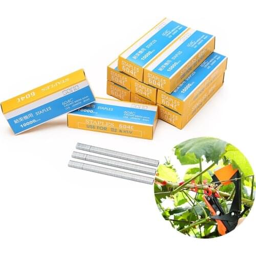 10000pcs Staple pin binder nail Tapetool Tapener fruit tree Bind Stem Branch Strap Tool Trunk Connect Machine Pack Plant Garden