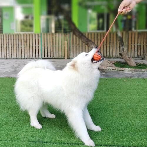 Pet Toy Ball Rope Rubber Training Interactive Bite Resistance Puzzle Molar Teeth Cleaning Ball TS2 Dog Supplies