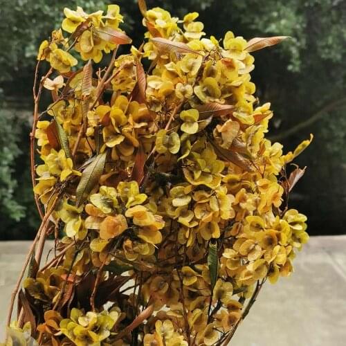60g/25-35cm,Natural Preserved butterfly flowers Bouquet,Eternal display arrange flowers for Wedding Home Decoration accessories