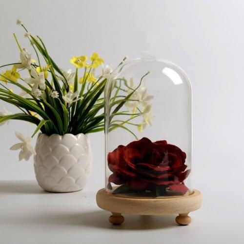 2sets/pack 12*26cm Three-Leg Log Base Glass Dome Vase Home Decoration Diameter=12cm Height=26cm Glass Cover Friend Gift Wedding