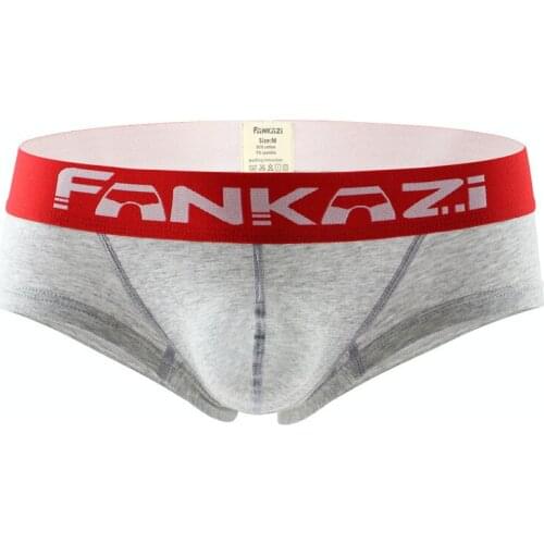 Mens Boxers Cotton Sexy Men Underwear Mens Underpants Male Panties Shorts U Convex Pouch for Boxers Shorts