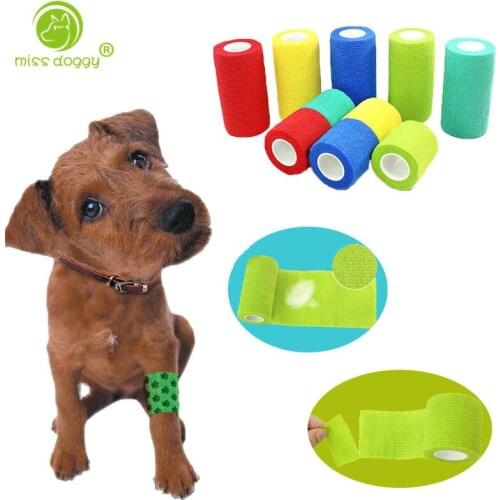 Miss Doggy Dog Accessories