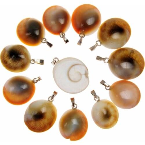 Druzy Perfect Natural Shell Stone Handmade Carved Pendulum Snail Raw Minerals Beads Charms Findings Pendants 1pcs wholesale