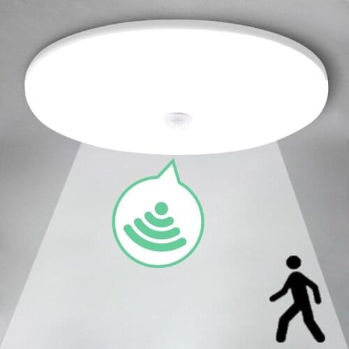Mexemina Ceiling Lamps