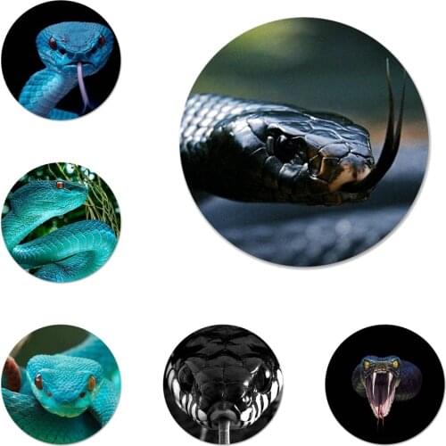 Snake Icons Pins Badge Decoration Brooches Metal Badges For Backpack Decoration