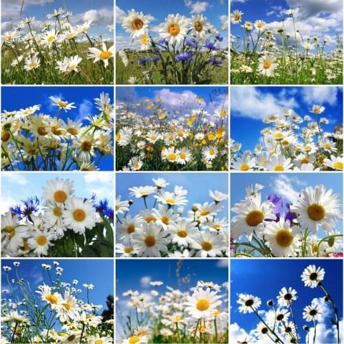 AZQSD Full Square Diamond Embroidery Daisy Handmade Rhinestones Diamond Painting Flower Cross Stitch Kits Home Decoration Gift