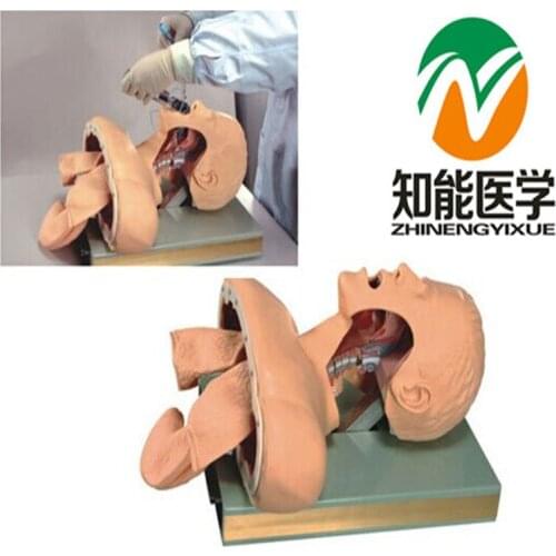 BIX-J51 Airway Intubation Model(with Alarm Device)