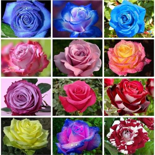 HUACAN Diamond Painting New Flower 5D DIY Diamond Embroidery Cross Stitch Rose Pictures Of Rhinestones Mosaic Decor For Home