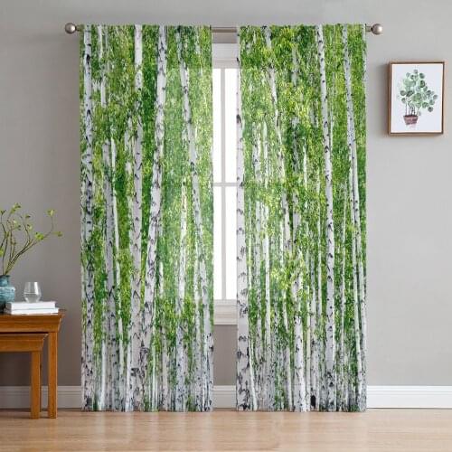 Birch Trees Nature Sheer Curtains for Living Room Bedroom Kitchen Tulle for Windows Voile Yarn Curtains for Bedroom